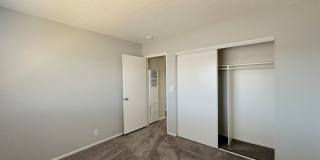 Summer Woods Gallery 26