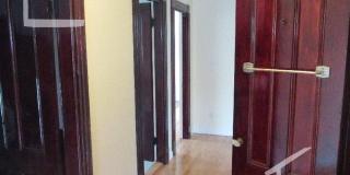Large pet friendly, sunny, renovated 3 bed unit near Brookline Village. Gallery 6