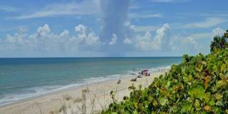 8880 N Sea Oaks Way unit: 208 Gallery 29