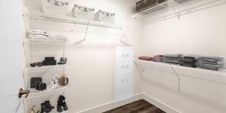 Radiate Gallery 14