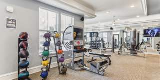 BluWater Apartments Gallery 38