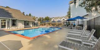 The Hazelwood Gallery 4