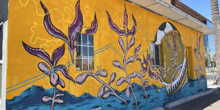 606 N. 5th Ave. Gallery 31