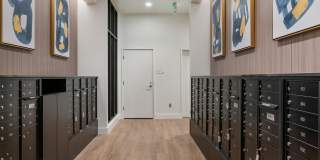 Bellevue10 Apartments Gallery 13