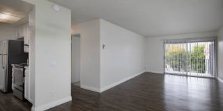 The Pacific at Mission Bay Gallery 17