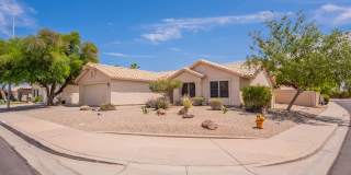 North West Chandler Home with a Pool Gallery 3