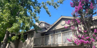 Extremely Well Maintained Upstairs 1/1 Condo Near Light Rail Now Available! Gallery 1