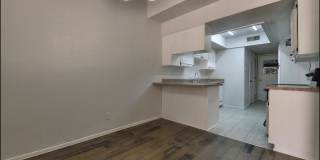 7113 Orizaba Gallery 12
