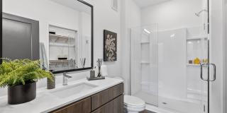 Switch Luxury Living Gallery 7