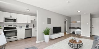 The Brougham Gallery 2