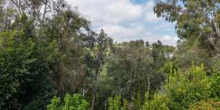 3035 Lake Glen Dr Gallery 33
