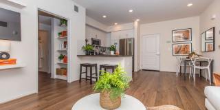 Vineyards Gallery 126