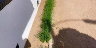 1307 Chadbourne Gallery 4