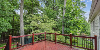 ONE LEVEL LIVING!! in Potomac 4-5 bed 4 baths / Close in Potomac Gallery 18