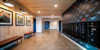 Scouter's Mountain Gallery 32