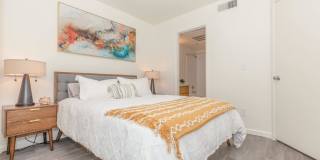 Metro Tucson Gallery 40