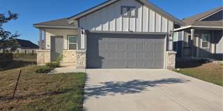 874 Crested Iris Gallery 1