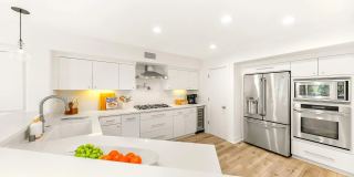 229 Bonair St Gallery 20