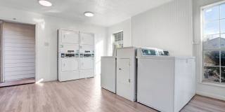 The Maxwell The Maxwell Gallery 14