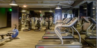 455 at Tinner Hill Gallery 5