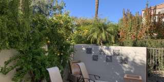 7222 E GAINEY RANCH Road 7222 E GAINEY RANCH Road Gallery 16