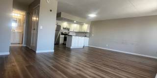 171 WELLINGTON Gallery 4