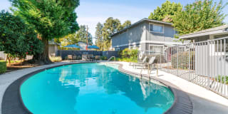 Pruneyard West Gallery 2