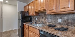 Mannasota Manor Gallery 3