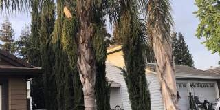 4637 Castle Cary Ln Gallery 1