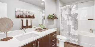 Parkside Esterra Gallery 5