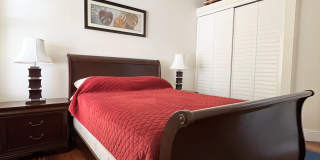 249 Hampton Place Gallery 11