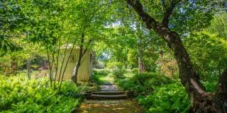 Historic Home Available at Foxhaven Farm Gallery 64