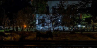1200 Lakeshore Gallery 24