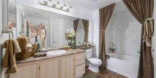 Hollis 7601 Gallery 22