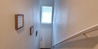 Ivy Plains at Brooks Ivy Plains at Brooks Gallery 15