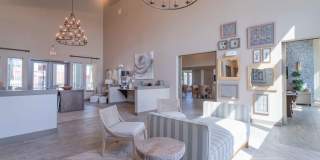 Century Palm Bluff Gallery 4