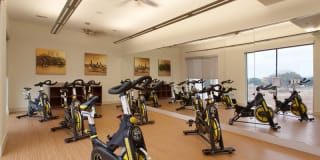 Lakeshore Pearl Gallery 16