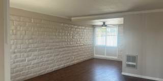 The Pines Apartments Gallery 4