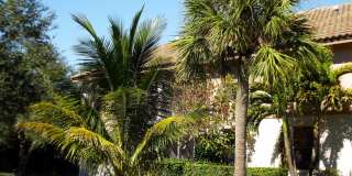 3355 JAYWOOD TER # 2140 BOCA RATON, FL 33431 3355 JAYWOOD TER # 2140 BOCA RATON, FL 33431 Gallery 1