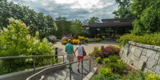 Windsor at Midtown Gallery 49