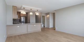 1550 N Lake Shore Drive Gallery 8