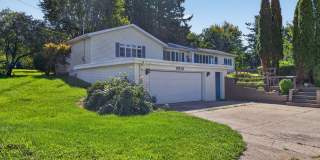 9919 Sand Lake Highway Gallery 1