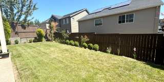 Beautiful 5 Bedroom with Den/Office and Large Bonus Room in Bethany Ridge!!! Gallery 25