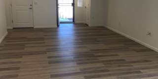 Pantano Vista Gallery 17
