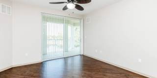 RIZE at Winter Springs Gallery 138