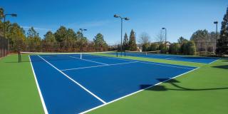 Pointe at Suwanee Station Gallery 23