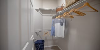 Avana Coronado Gallery 7