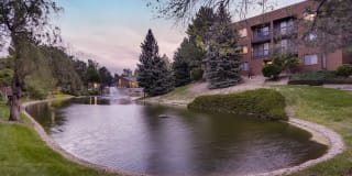 Alta Springs Gallery 27