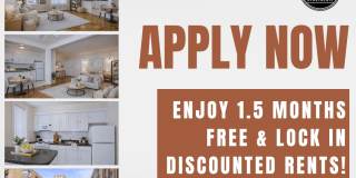 Tivoli Gardens Gallery 2