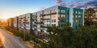 Windsor Winchester Windsor Winchester Gallery 12